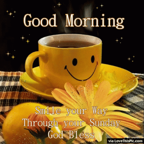 Good Morning Sunday Gifs Good Morning GIFs