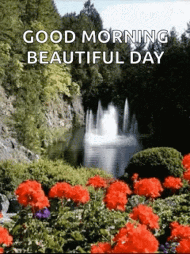 Good Morning Beautiful Day