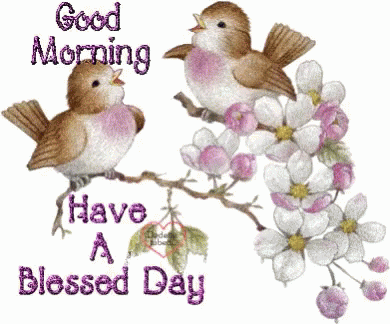 Good Morning Bird