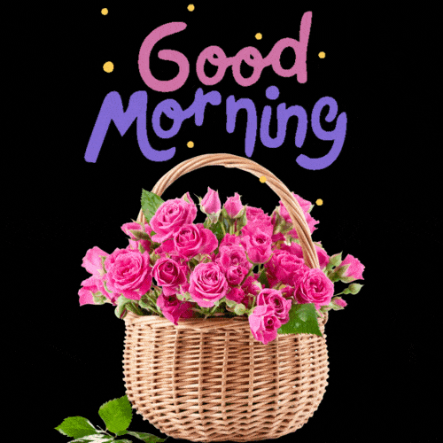Good Morning Floral