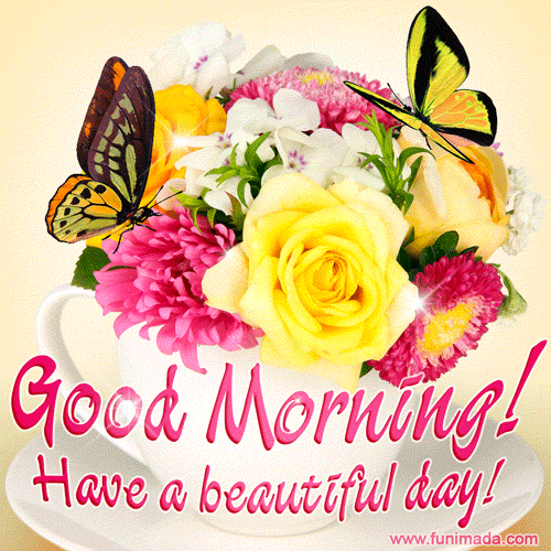 Good Morning Have A Beautiful Day Pic