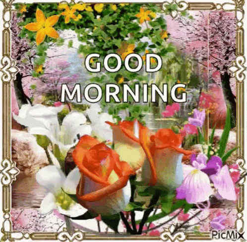Good Morning Have A Fantastic Day
