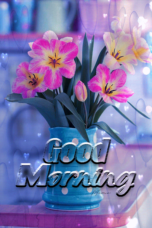Good Morning Have A Gorgeous Day