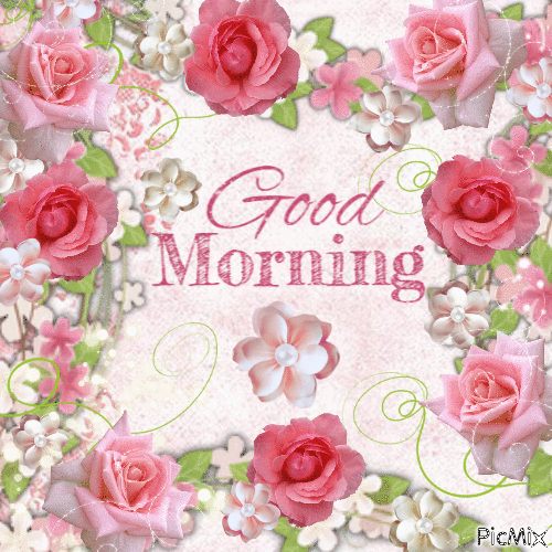 Good Morning Have A Great Day