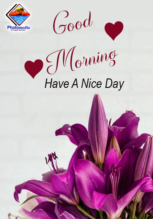 Good Morning Have A Nice Day