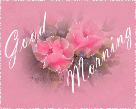 Good Morning Pink
