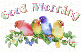 Good Morning Wirh Beautiful Birds