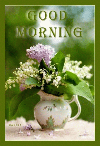 Good Morning With Beautiful Flower Pot