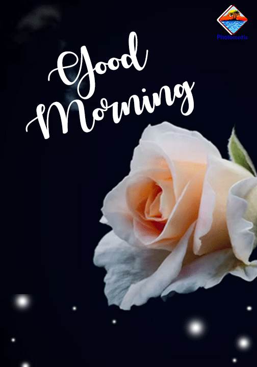 Good Morning With Rose
