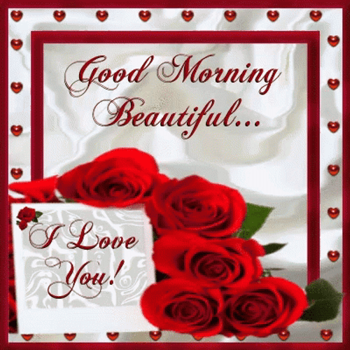 Romantic Good Morning Beautiful Flower