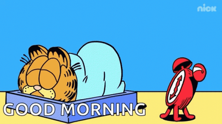 Funny Garfield Wakeup Good Morning