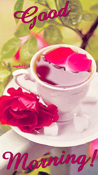 Good Morning