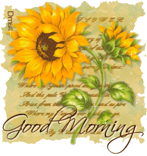 Good Morning Awesome Sunflowe