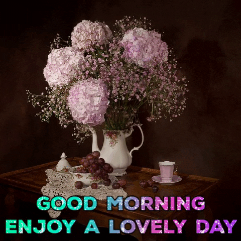 Good Morning Enjoy Lovely Day