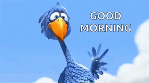 Good Morning Funny Animal