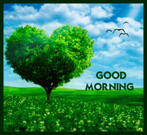 Good Morning Green Nature