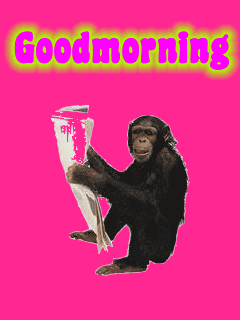 Good Morning Monkey With Newspaper
