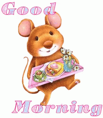 Good Morning With Beautiful Breakfast Tray