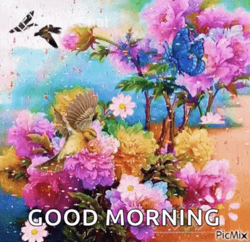 Good Morning With Beautiful Flowers