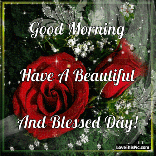 Have A Beautiful Blessed Day Rose