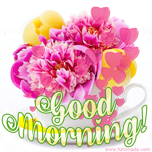 Have A Great Day Good Morning