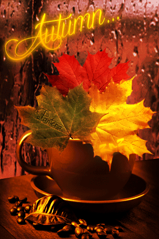 Beautiful Flowers In Autumn