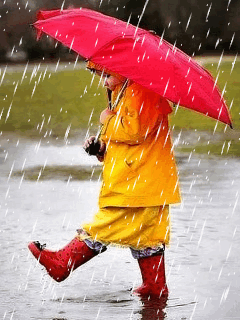 Good Morning Adorable Boy In Rain