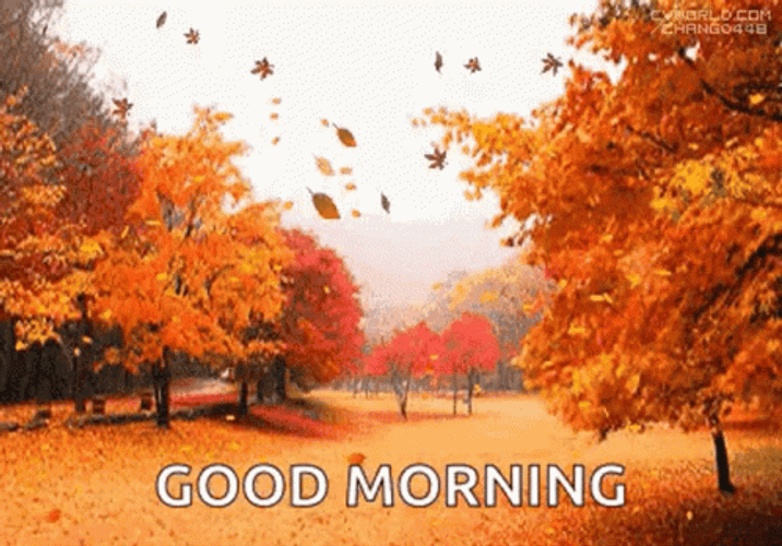 Good Morning Fall Autumn Leaves Falling