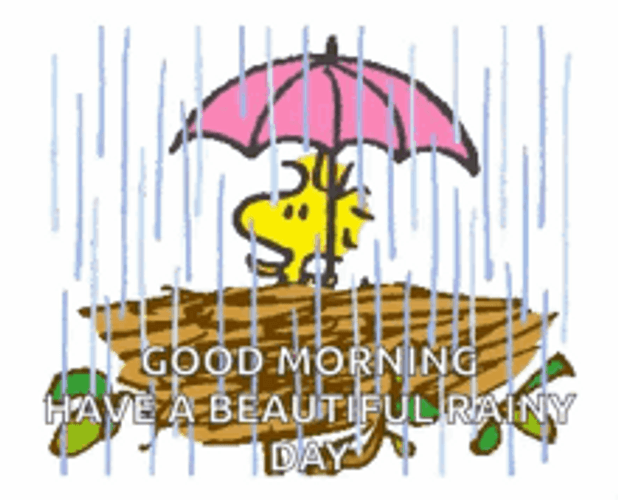 Good Morning Have A Beautiful Rainy Day