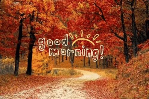 Good Morning Have A Wonderful Day