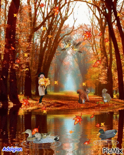 Good Morning With Beautiful Autumn