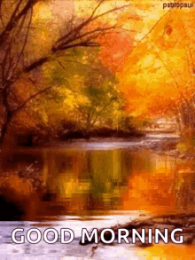 Good Morning With Beautiful Leaf