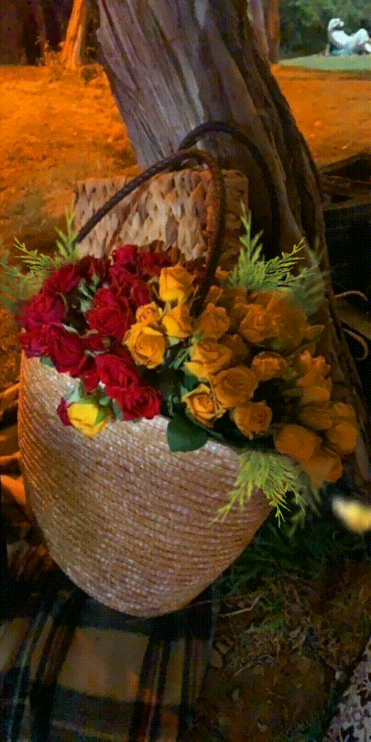 Good Morning With Beautiful Roses