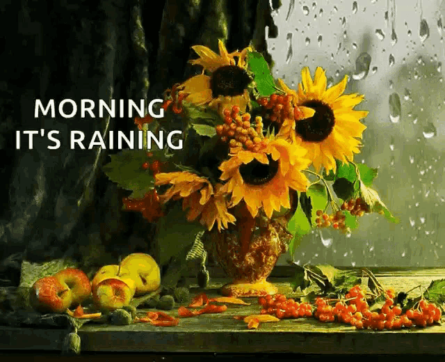 Morning Its Raining