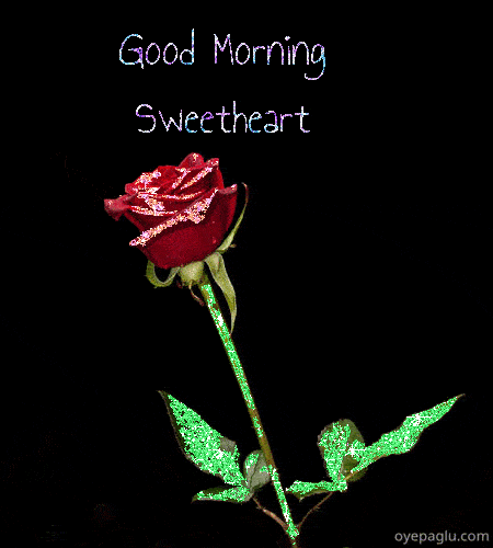 Good Morning Have A Fantastic Day