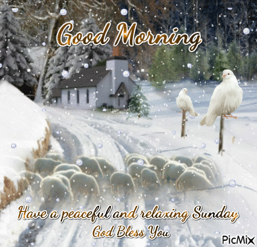 Good Morning Have A Peaceful Relaxing Day