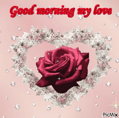 Good Morning My Love Have A Awsome Day