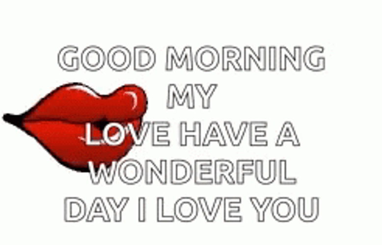 Good Morning My Love Have A Wonderful Day I Love You