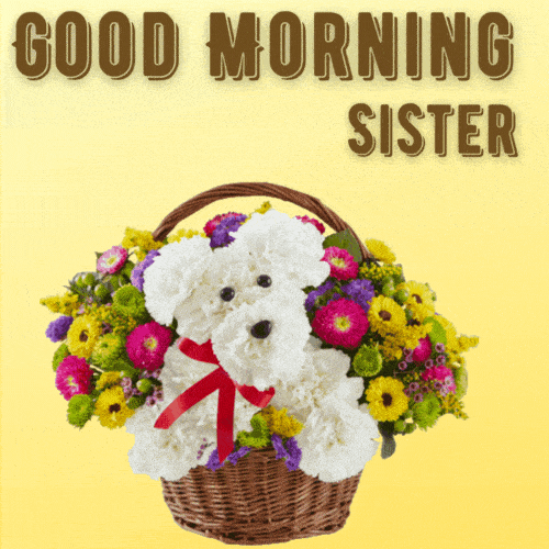 Good Morning Sister Have A Wonderful Day