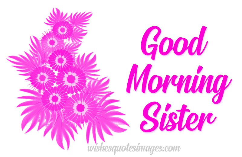 Have A Great Good Morning Sister