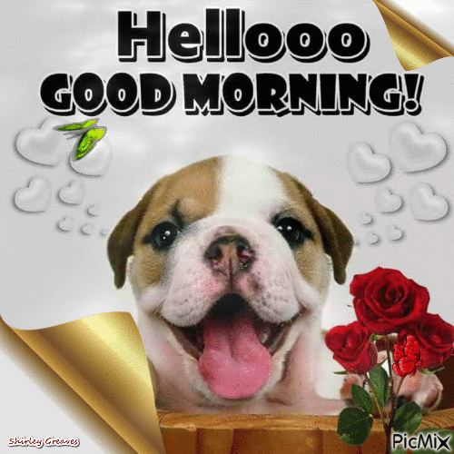 Hello Puppy Good Morning