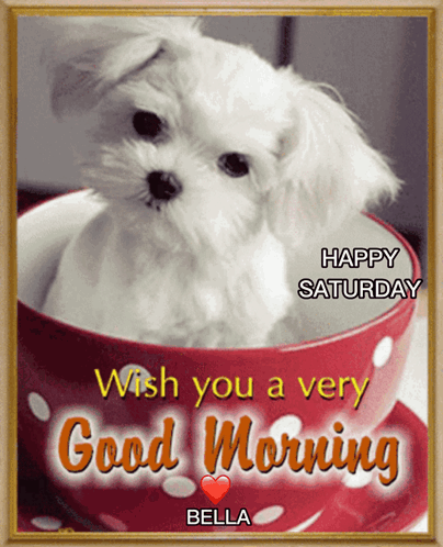 Wish You A Very Good Morning