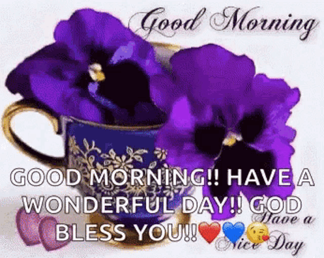 Good Morning Have A Wonderful Day God Bless You