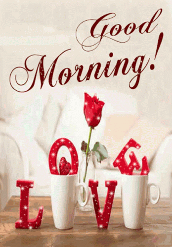 Good Morning Lovely Rose