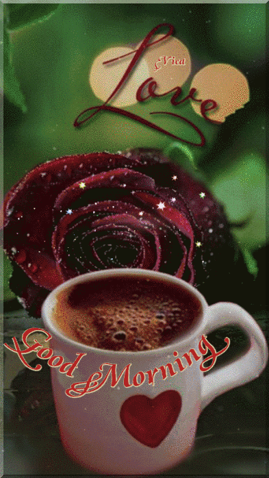 Good Morning Rose Have A Great Day
